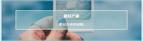 新聞動(dòng)態(tài)